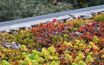 the cost of Mavesyn Ridware green roof installation