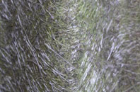 Mavesyn Ridware fibreglass roof work